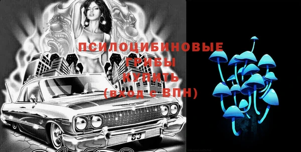 бутират Алексеевка
