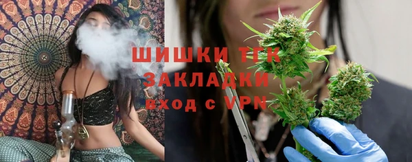 гашик Алзамай